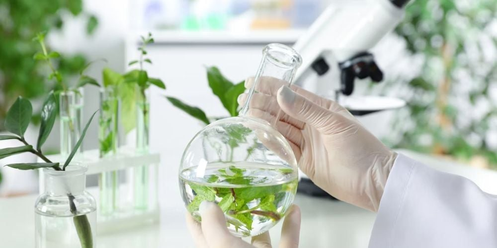 Vương quốc Anh dự kiến áp thuế chống bán phá giá đối với nhiên liệu sinh học nhập khẩu từ Trung Quốc